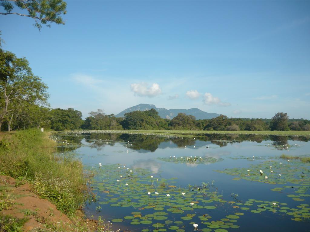 Sunrise Holiday Resort Habarana Esterno foto