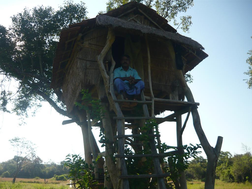 Sunrise Holiday Resort Habarana Esterno foto